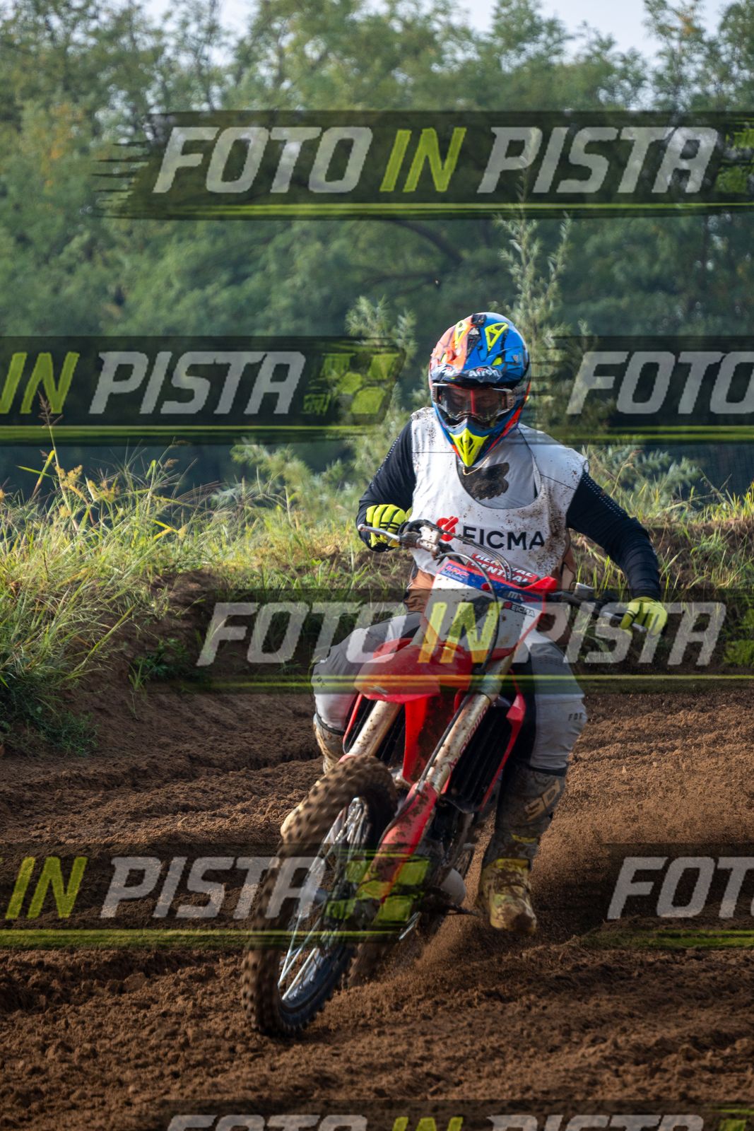 EICMA 19-09 10:00-11:00 · ALE00109