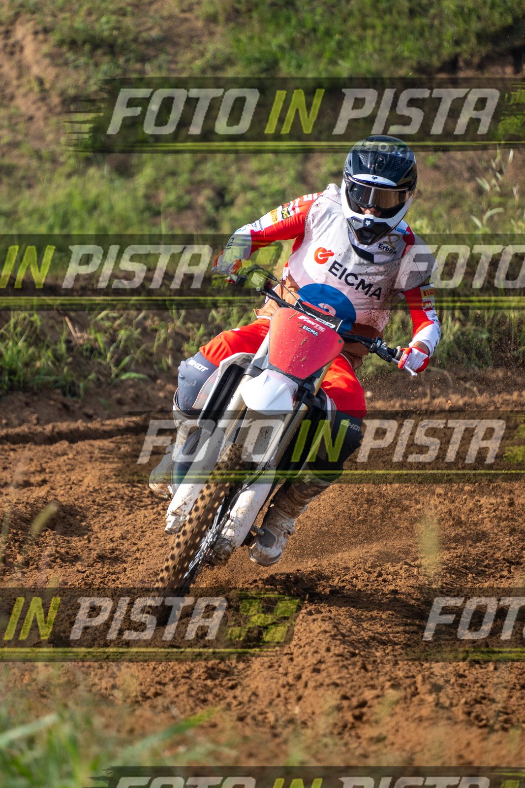 EICMA 19-09 11:00-12:00 · ALE00118