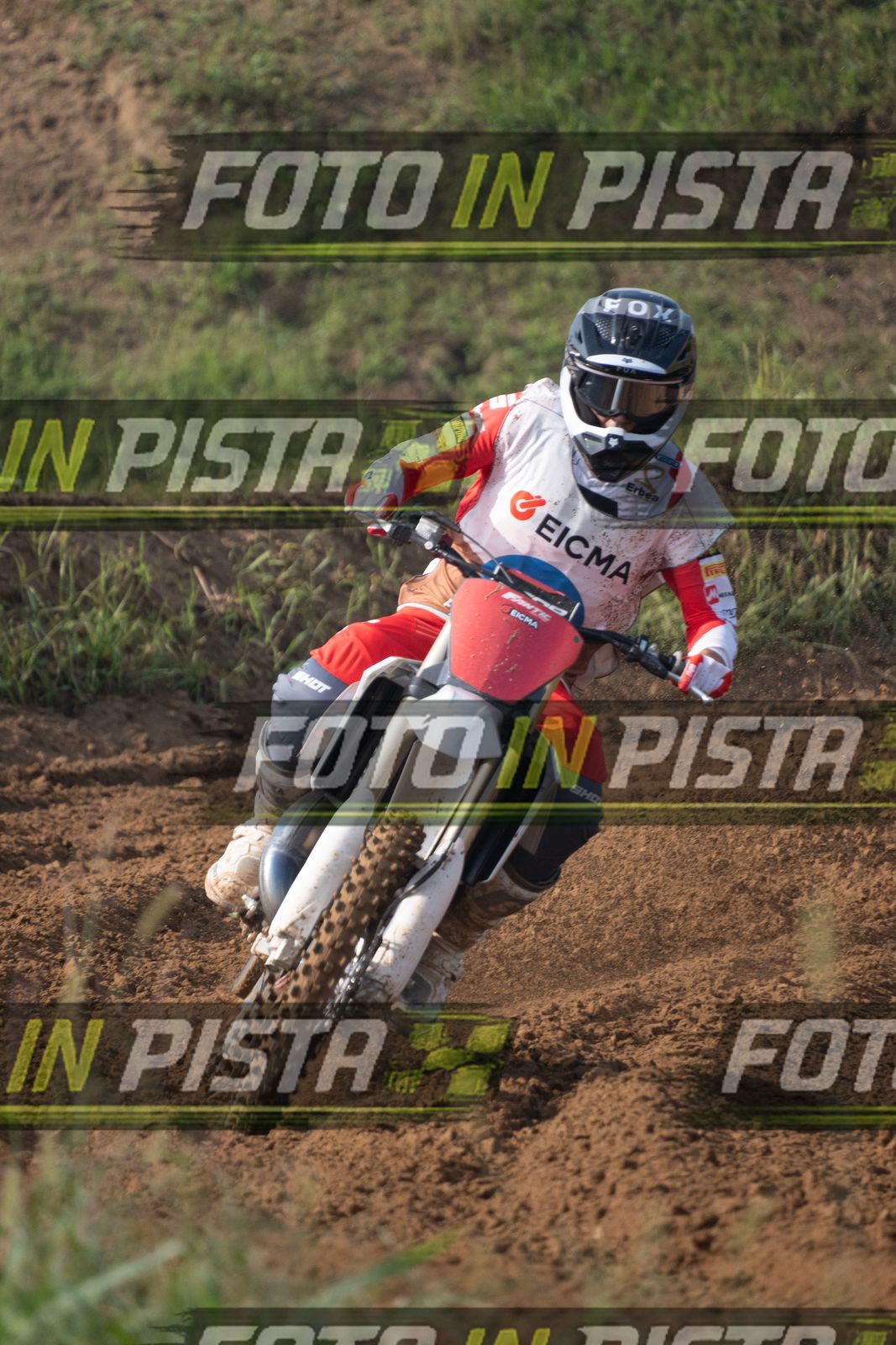 EICMA 19-09 11:00-12:00 · ALE00119