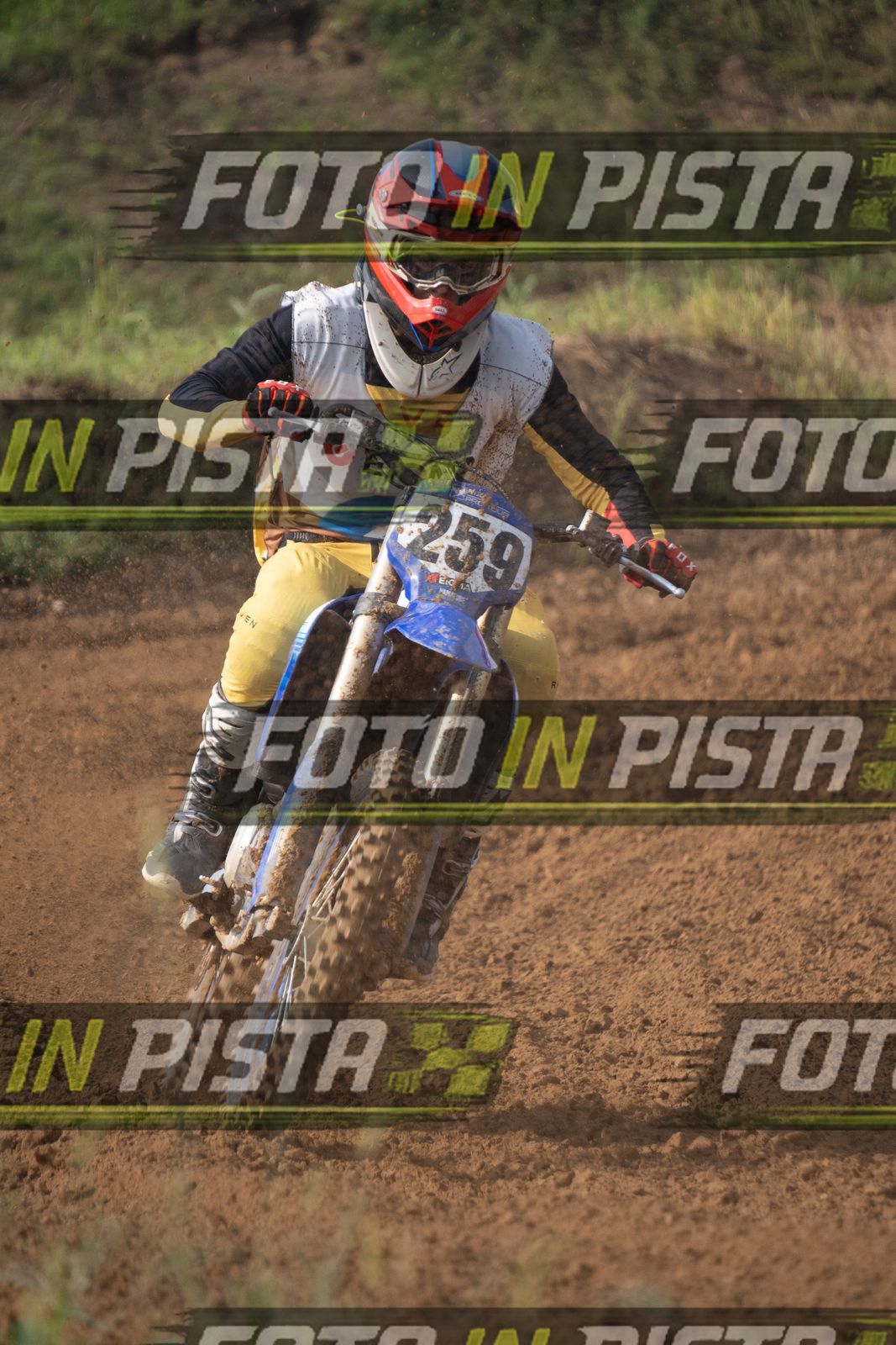 EICMA 19-09 11:00-12:00 · ALE00120