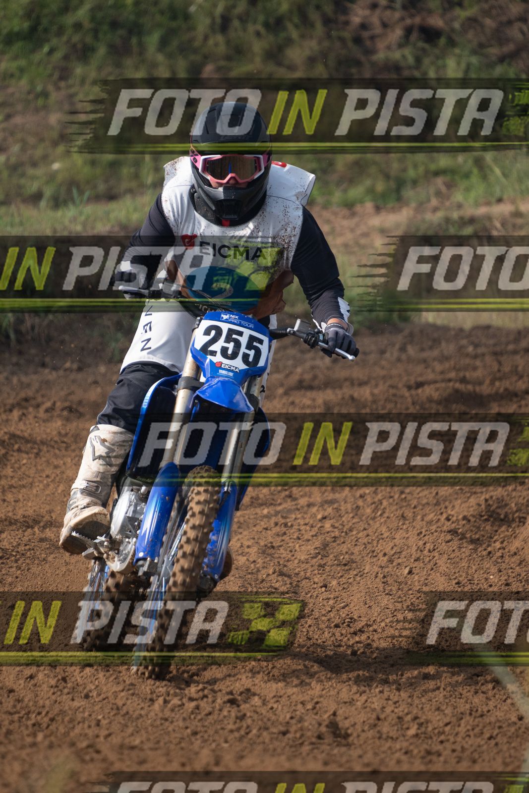 EICMA 19-09 11:00-12:00 · ALE00129