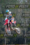 EICMA 19-09 11:00-12:00 · ALE00135-2