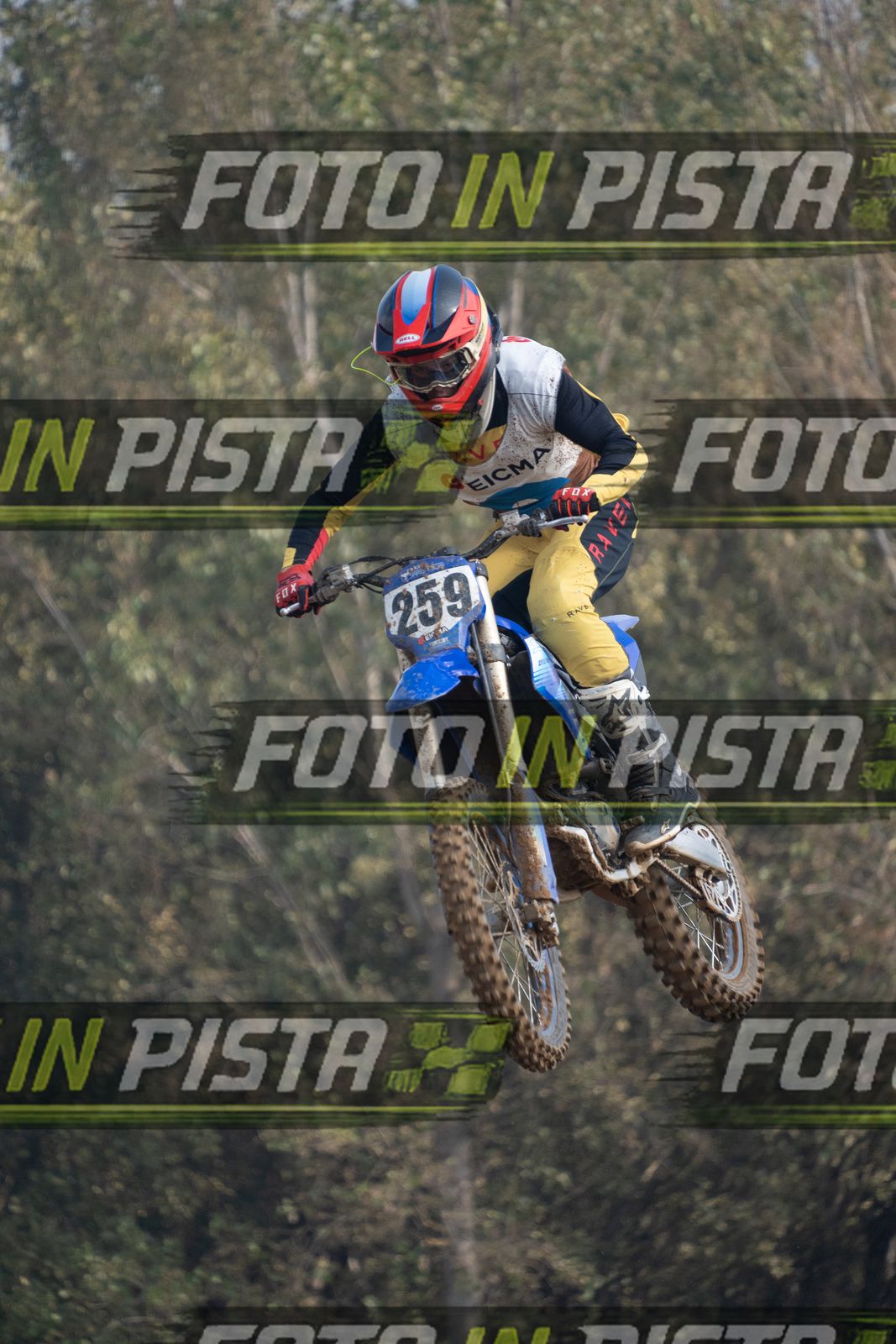 EICMA 19-09 11:00-12:00 · ALE00146