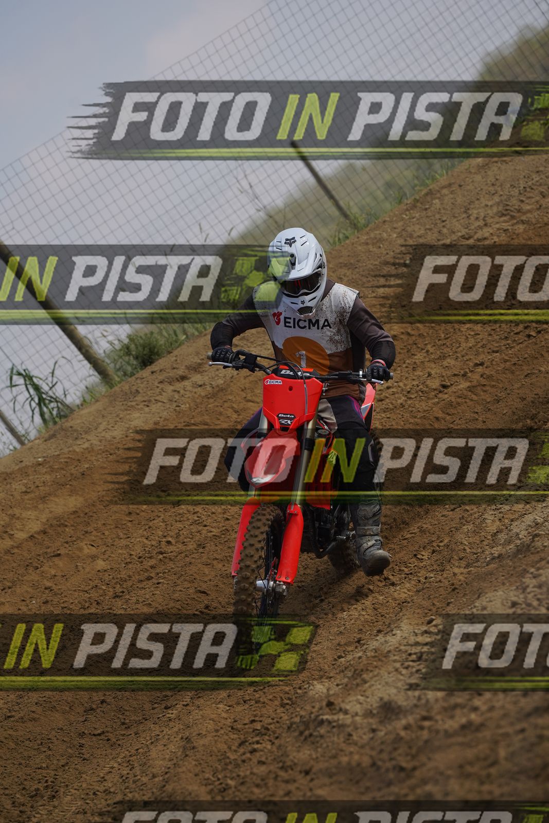 EICMA 19-09 11:00-12:00 · DOR07206