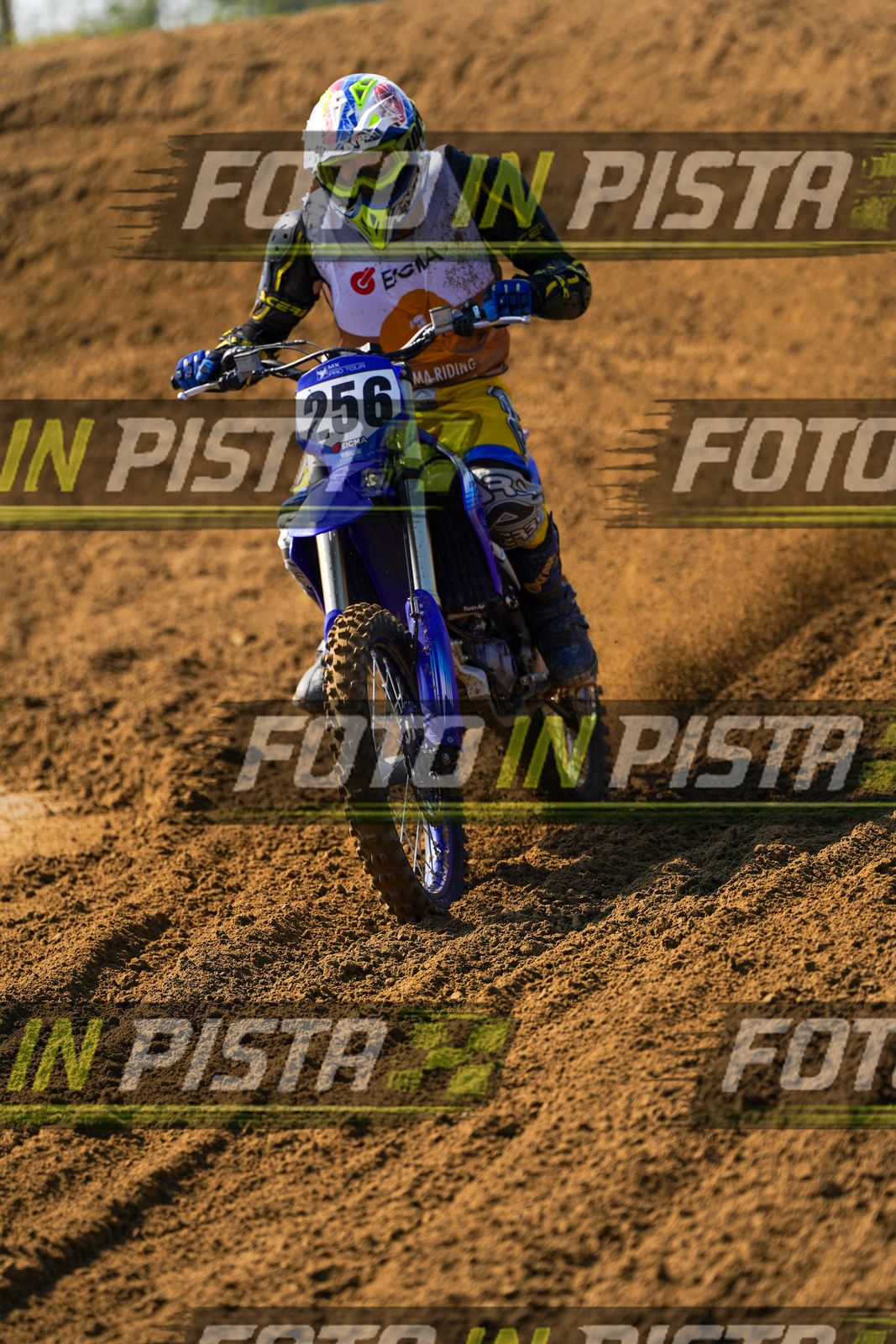 EICMA 20-09 11:00-12:00 · DOS02420
