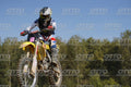 000 YELLOW · DOS05618