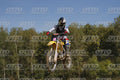 000 YELLOW · DOS05741