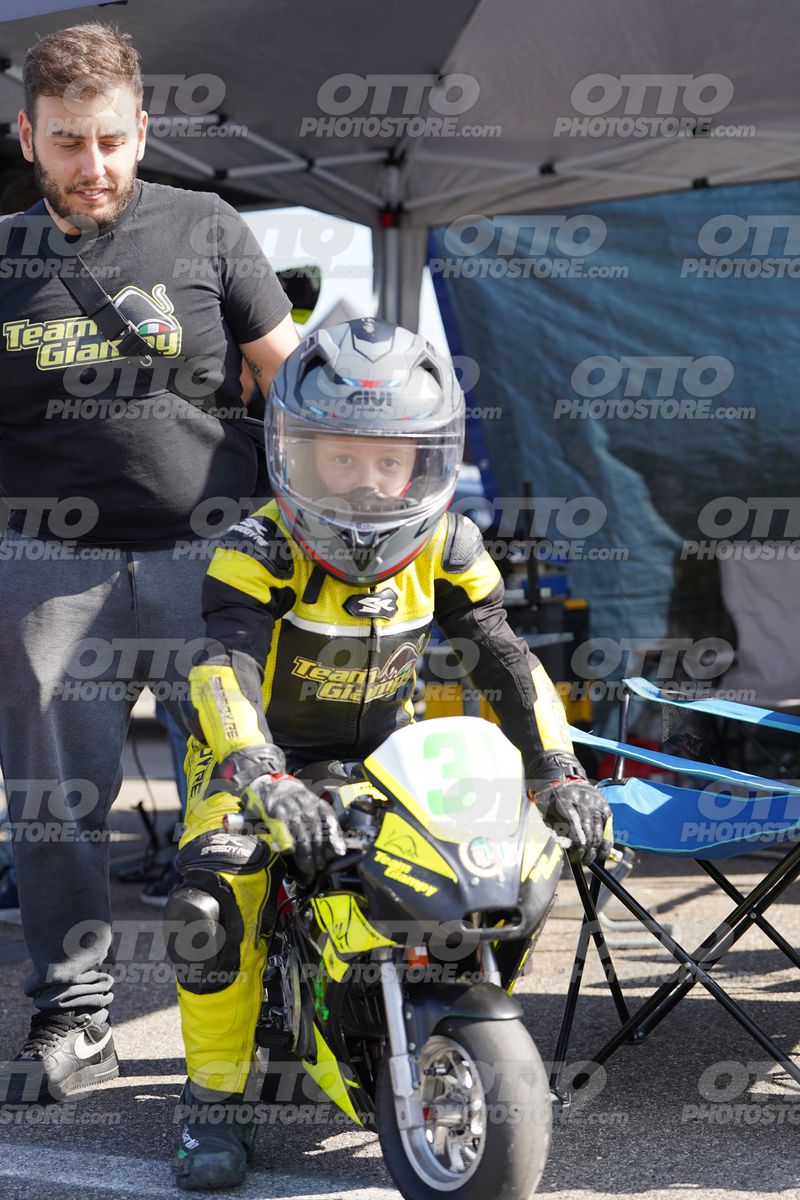 PADDOCK · DOS06508