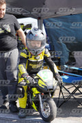 PADDOCK · DOS06509