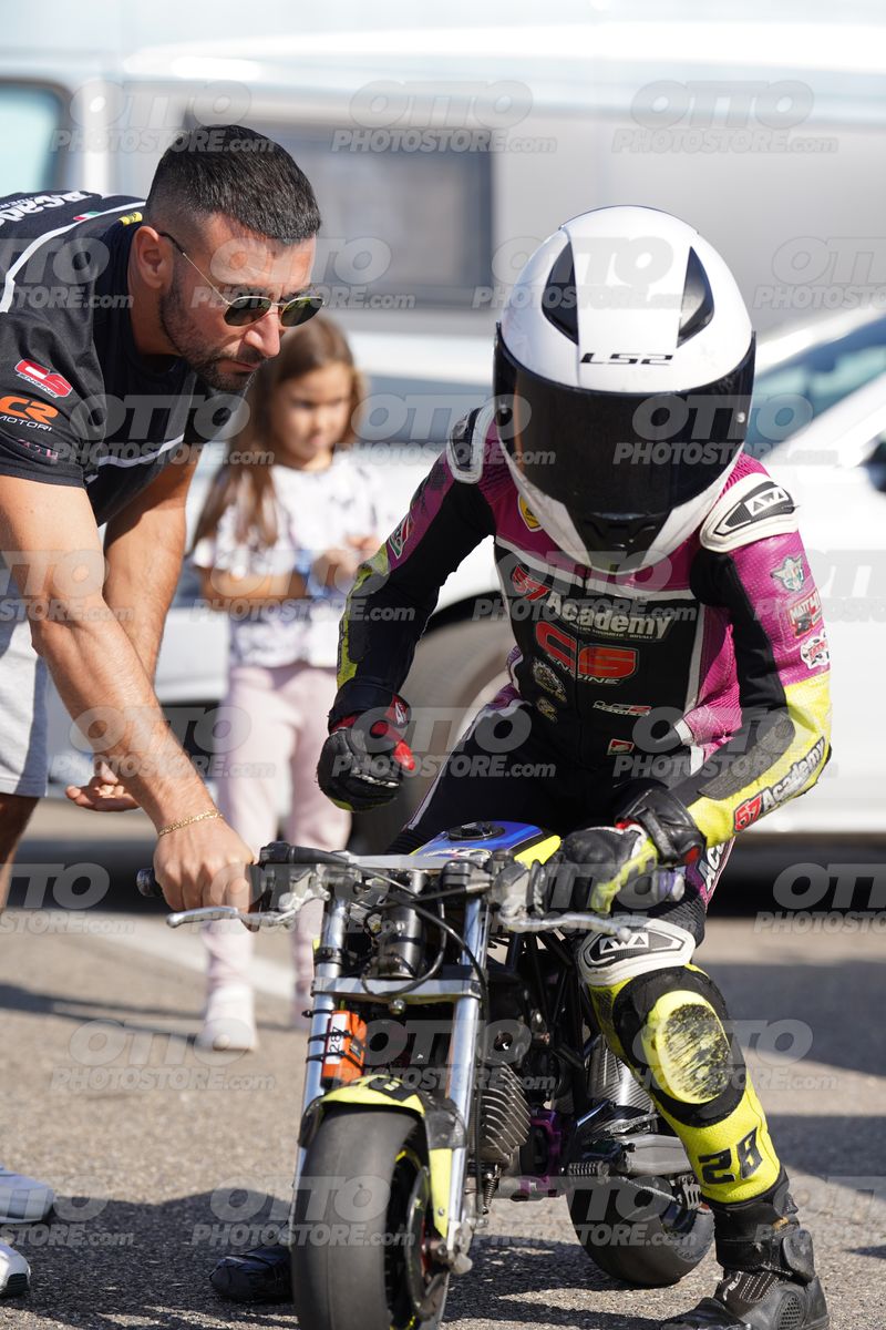 PADDOCK · DOS06519
