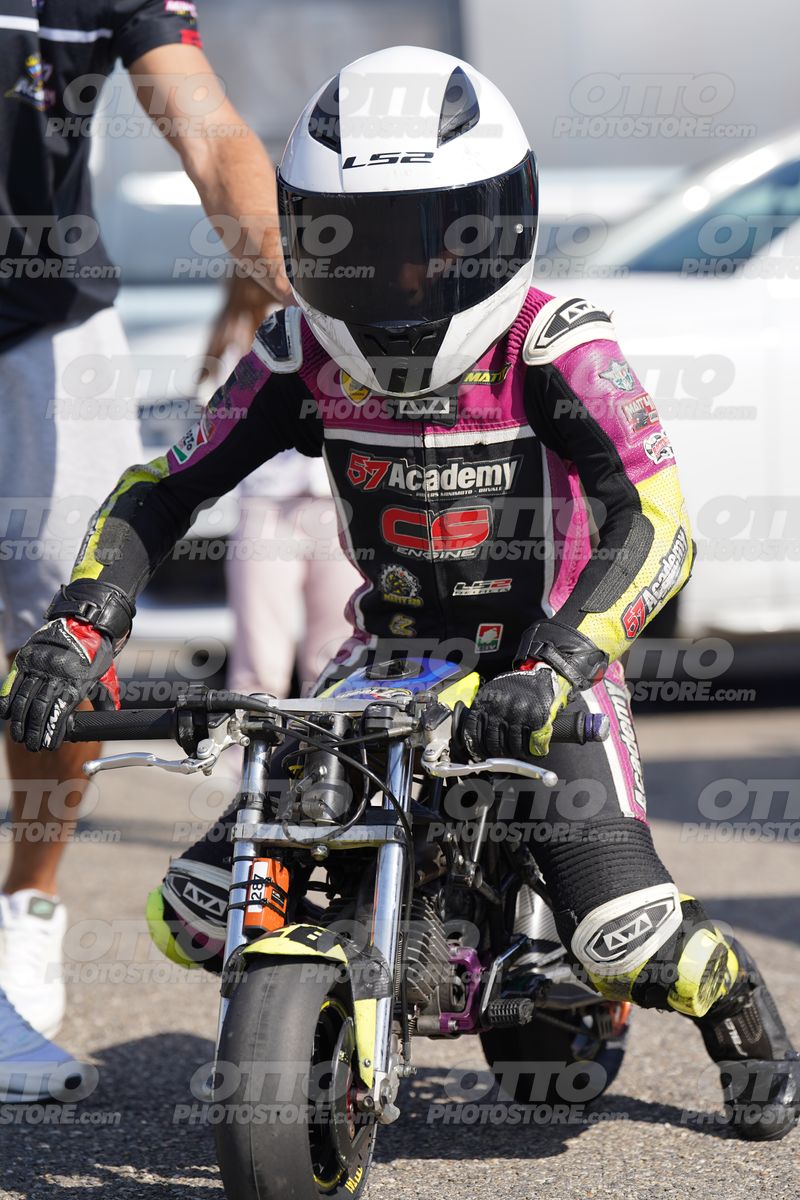 PADDOCK · DOS06520