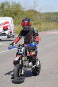 PADDOCK · DOS06557