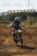 SUZUKI YELLOW · DOS06797