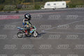 PADDOCK · DOS07974