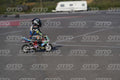 PADDOCK · DOS07975