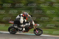 PITBIKE - SCOOTER 301 · DSH_0010