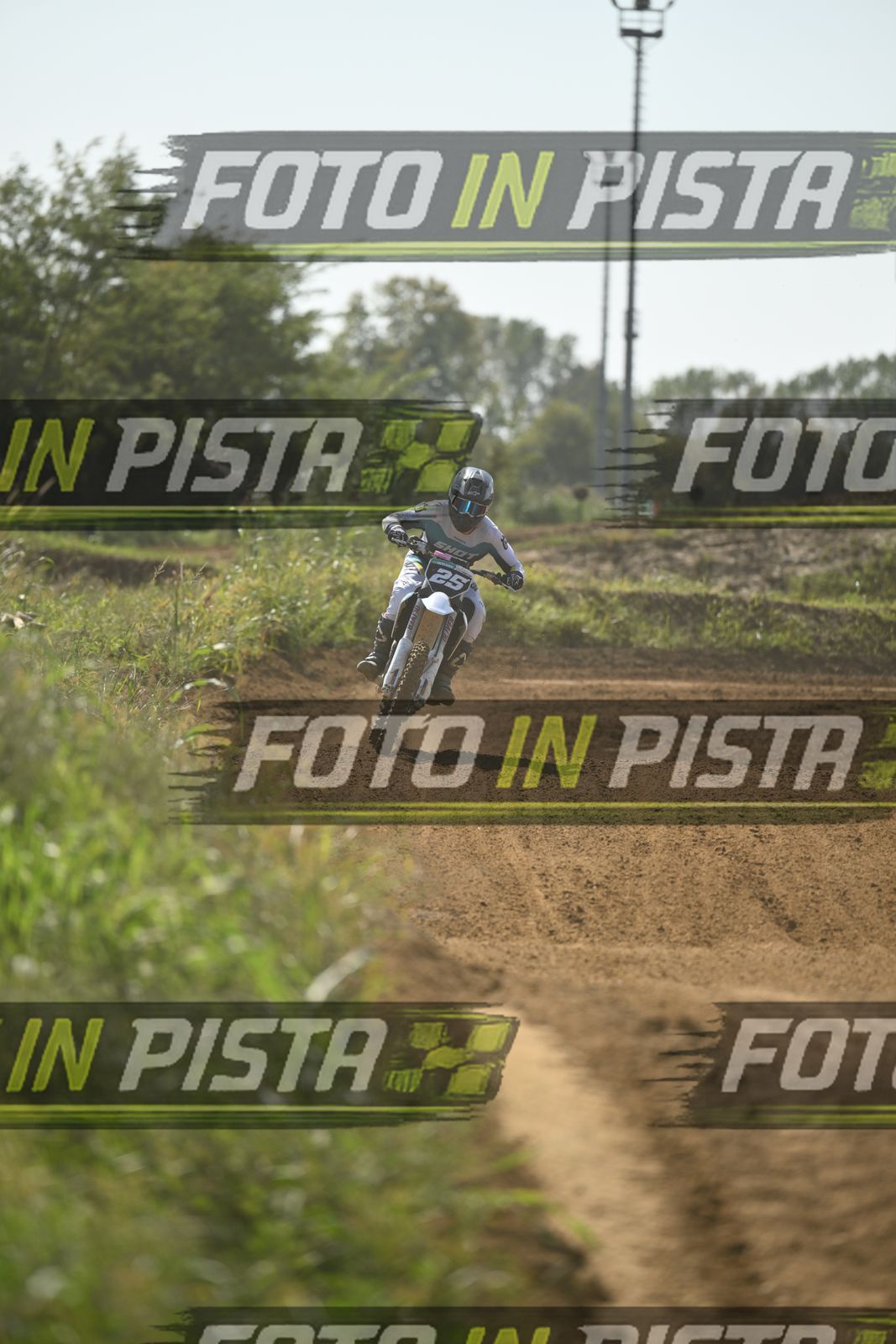 25 · DSH_0011