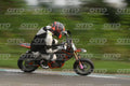 PITBIKE - SCOOTER 301 · DSH_0011