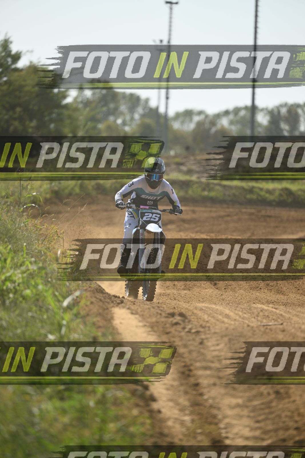 25 · DSH_0017