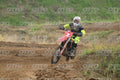 7 · DSH_0039