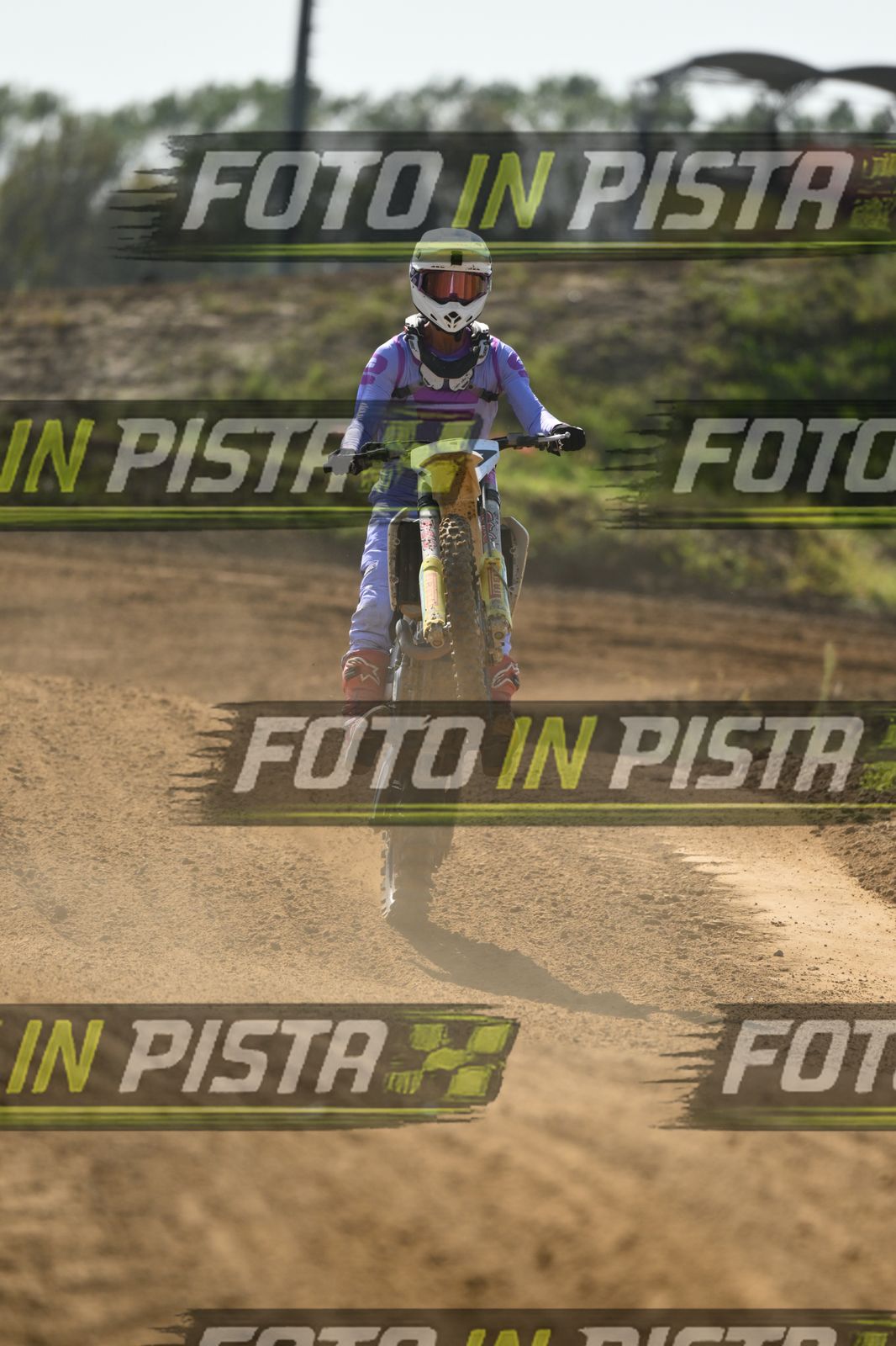 99 · DSH_0071