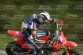 PITBIKE - SCOOTER 0 - RED HONDA - BLU WHITE SUITE · DSH_0083