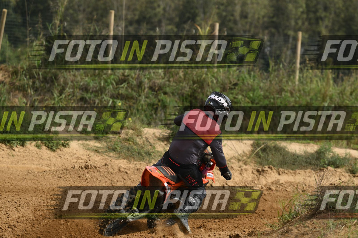 39 · DSH_0091