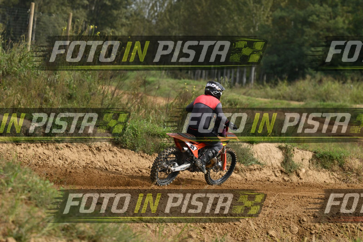 39 · DSH_0096