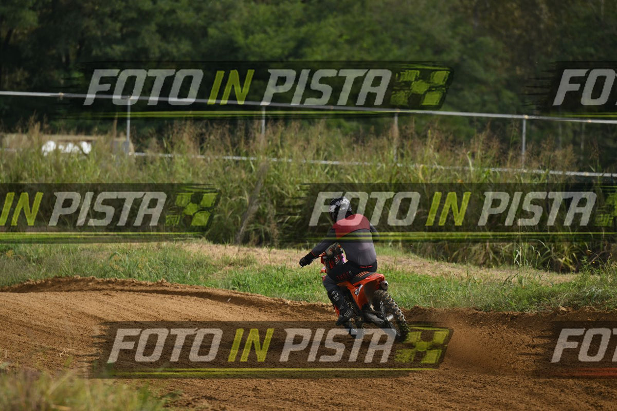 39 · DSH_0100