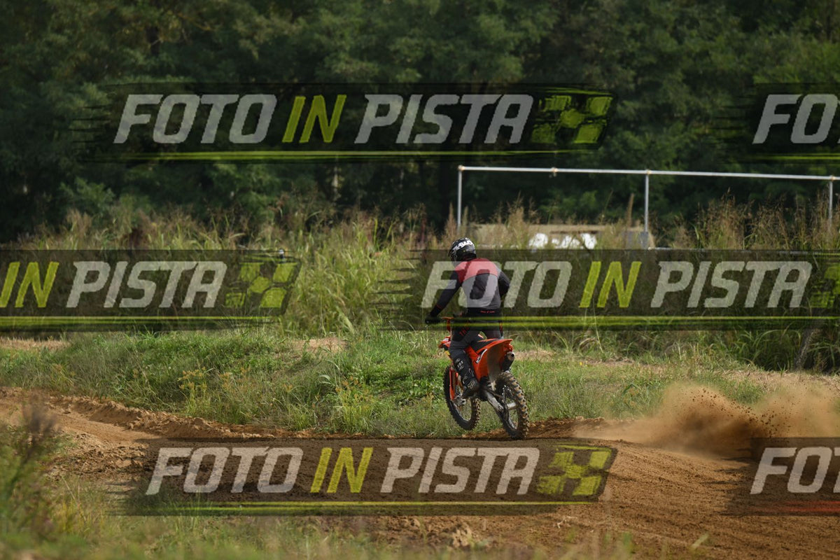 39 · DSH_0102