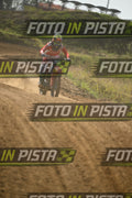 93 · DSH_0113