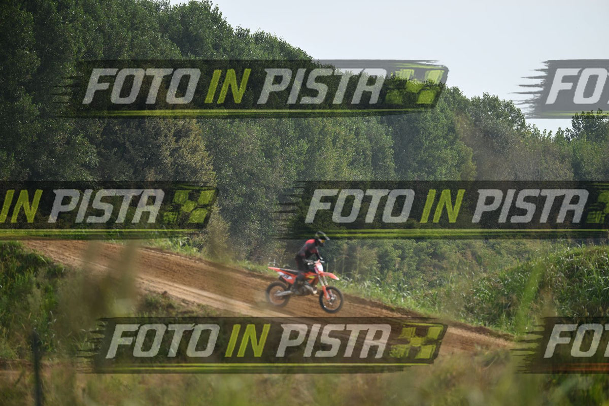 39 · DSH_0119