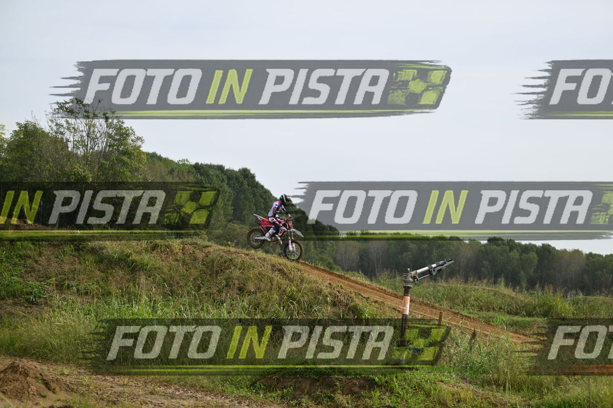 FANTIC RED PINK · DSH_0171