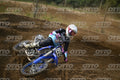 169 · DSH_0172