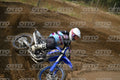 169 · DSH_0173