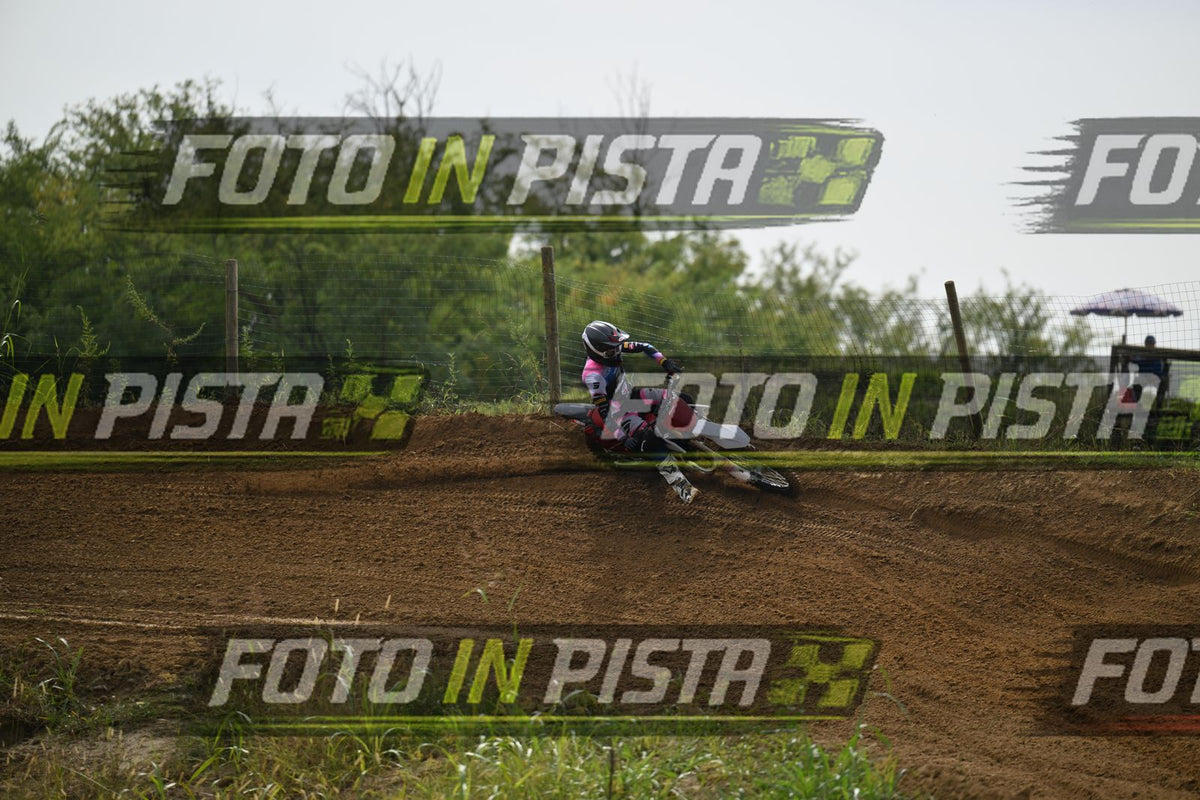 FANTIC RED PINK · DSH_0174