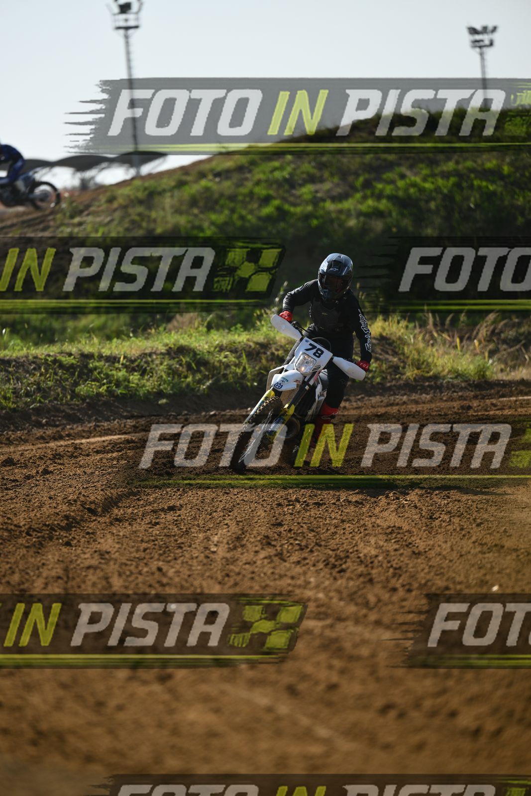 78 · DSH_0175
