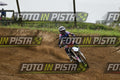 FANTIC RED PINK · DSH_0178