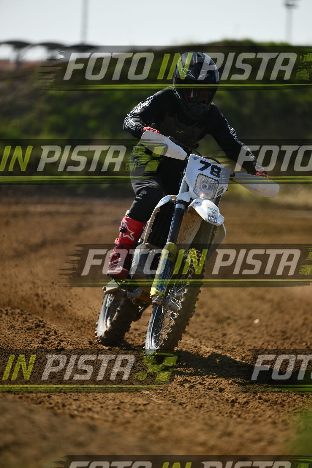 78 · DSH_0184