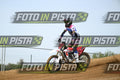 FANTIC RED PINK · DSH_0203