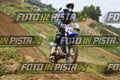 710 · DSH_0210