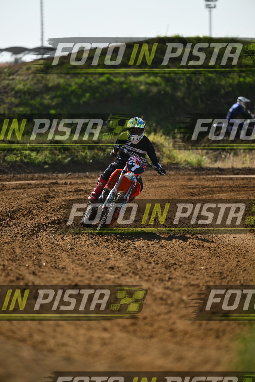 7 · DSH_0215