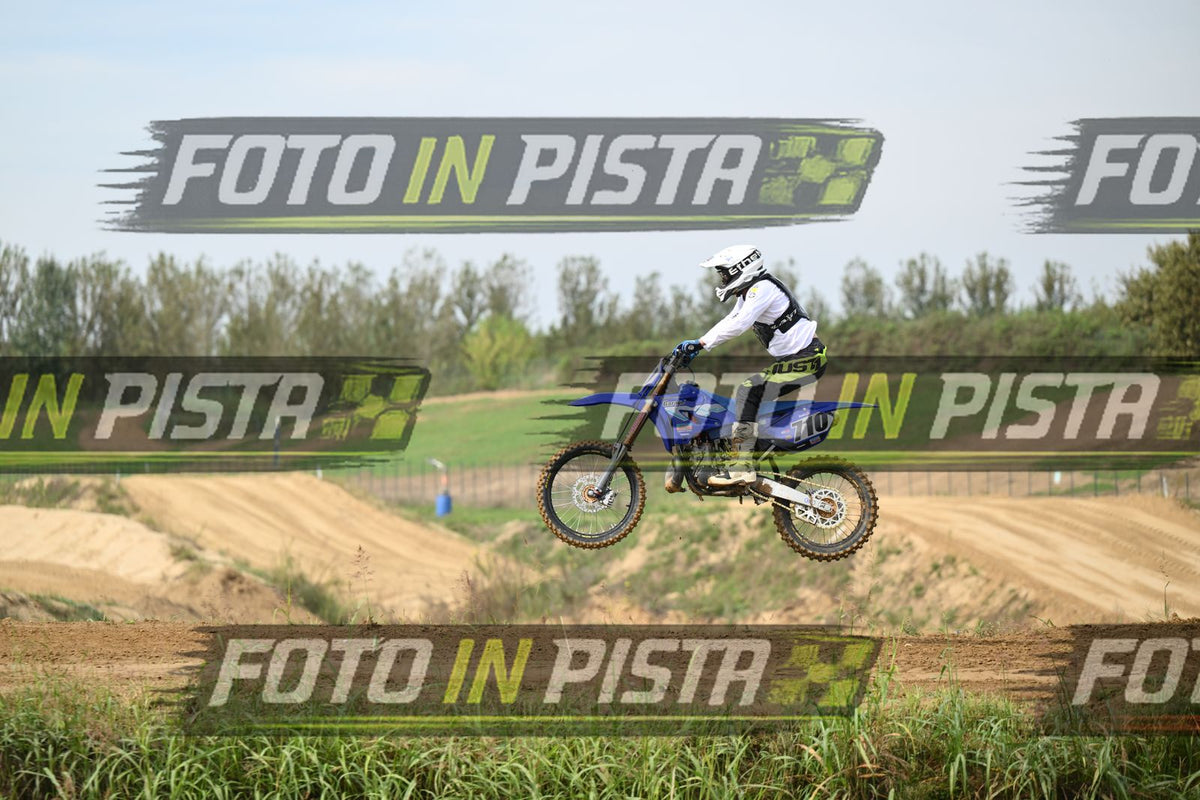 710 · DSH_0217