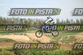 710 · DSH_0219