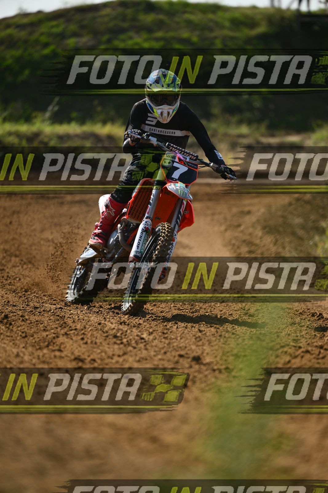 7 · DSH_0222