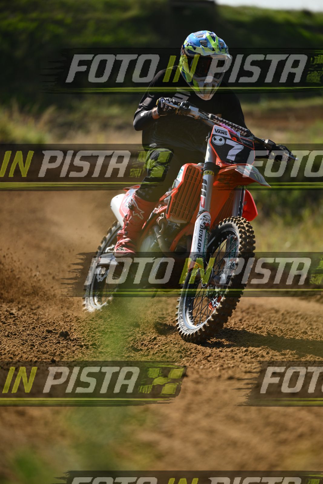 7 · DSH_0225