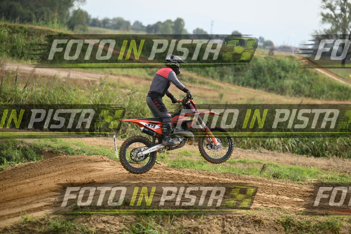 39 · DSH_0239