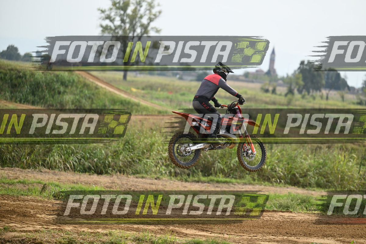 39 · DSH_0242