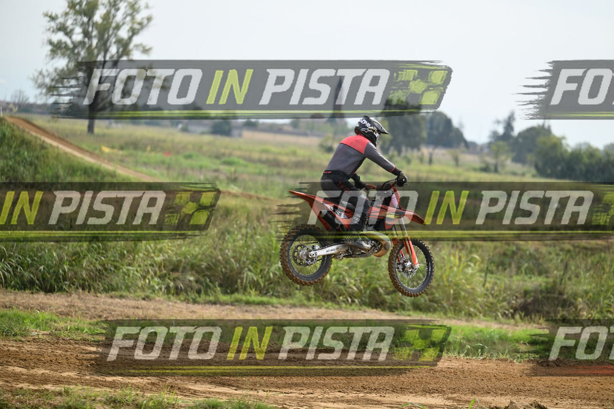 39 · DSH_0243