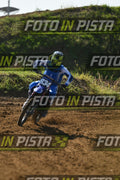834 · DSH_0247
